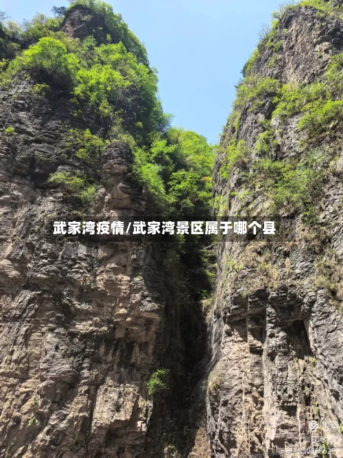 武家湾疫情/武家湾景区属于哪个县-第3张图片