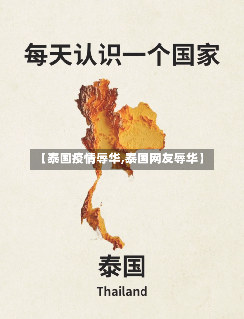 【泰国疫情辱华,泰国网友辱华】-第3张图片