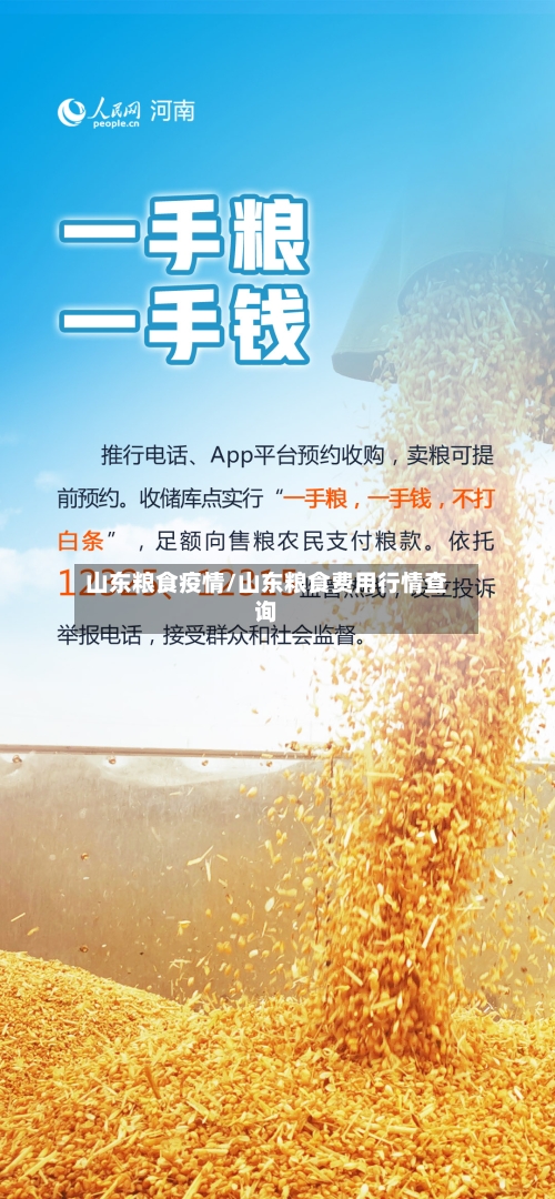 山东粮食疫情/山东粮食费用行情查询