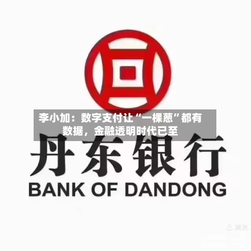 李小加：数字支付让“一棵葱”都有数据，金融透明时代已至-第2张图片