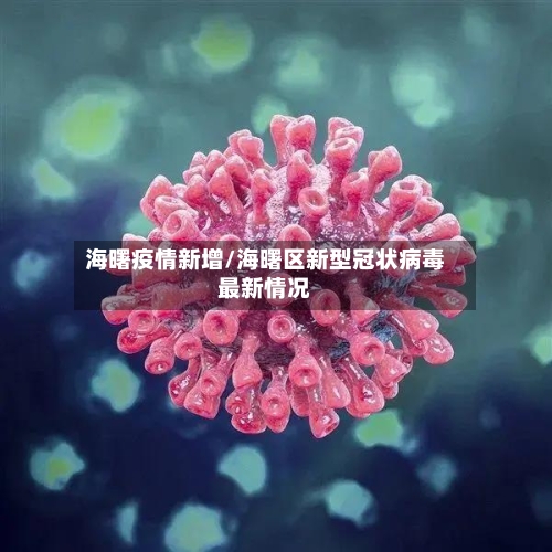 海曙疫情新增/海曙区新型冠状病毒最新情况-第2张图片