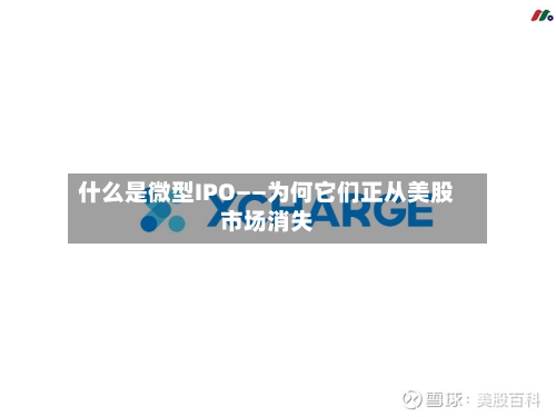 什么是微型IPO——为何它们正从美股市场消失-第3张图片