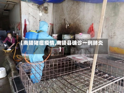 【南陵猪瘟疫情,南陵县确诊一例肺炎】-第2张图片