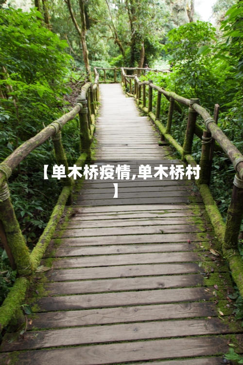 【单木桥疫情,单木桥村】