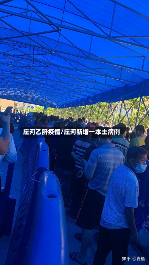 庄河乙肝疫情/庄河新增一本土病例