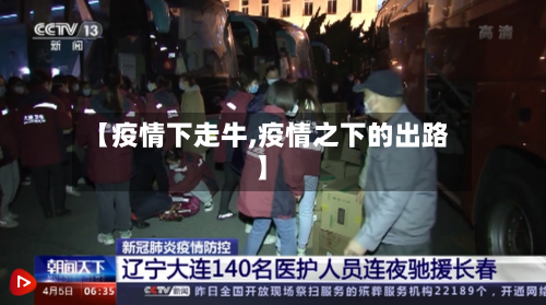 【疫情下走牛,疫情之下的出路】