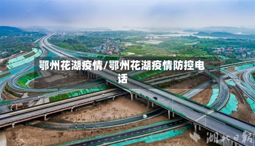 鄂州花湖疫情/鄂州花湖疫情防控电话