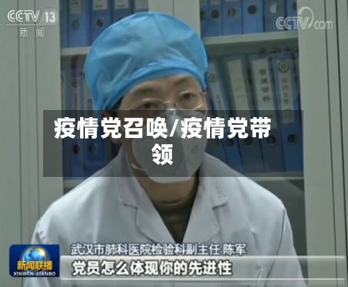 疫情党召唤/疫情党带领-第2张图片