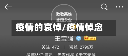 疫情的哀悼/疫情悼念