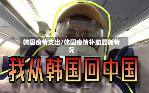 韩国疫情支出/韩国疫情补助最新情况
