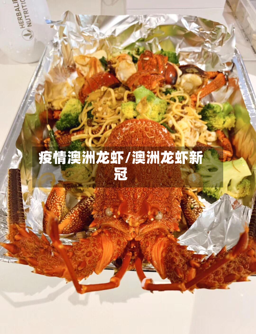 疫情澳洲龙虾/澳洲龙虾新冠-第2张图片