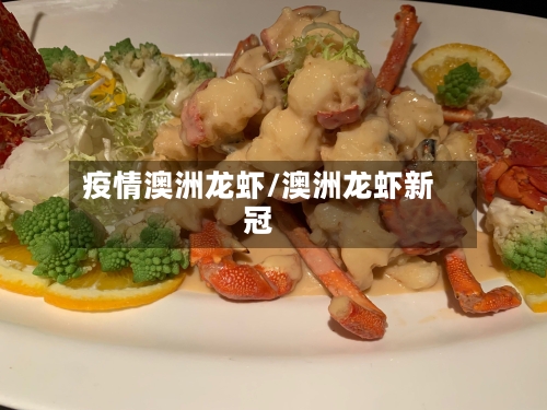 疫情澳洲龙虾/澳洲龙虾新冠