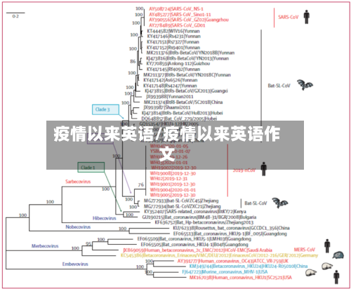 疫情以来英语/疫情以来英语作文-第2张图片