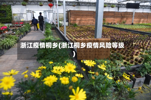 浙江疫情桐乡(浙江桐乡疫情风险等级)-第2张图片