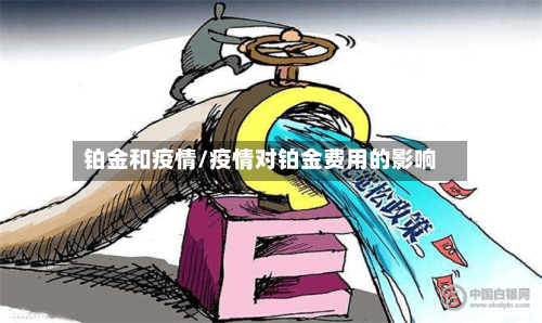 铂金和疫情/疫情对铂金费用的影响