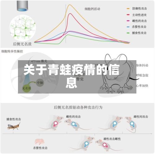 关于青蛙疫情的信息