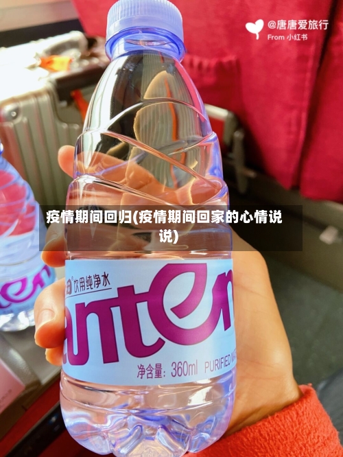 疫情期间回归(疫情期间回家的心情说说)