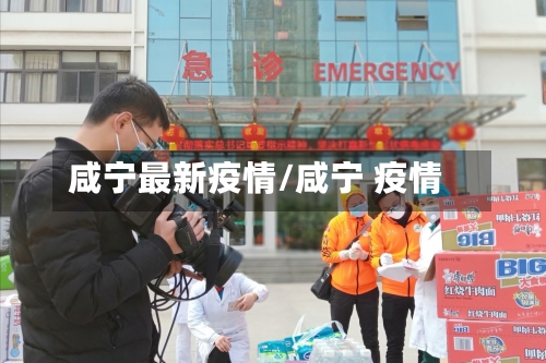 咸宁最新疫情/咸宁 疫情