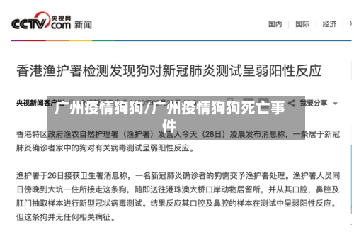 广州疫情狗狗/广州疫情狗狗死亡事件-第3张图片