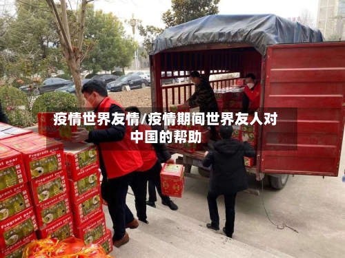 疫情世界友情/疫情期间世界友人对中国的帮助-第2张图片