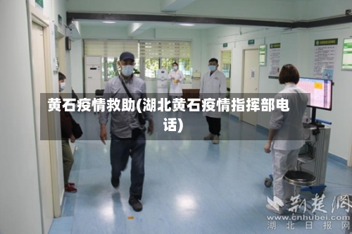 黄石疫情救助(湖北黄石疫情指挥部电话)