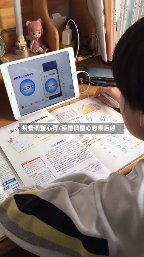 疫情调整心得/疫情调整心态观后感