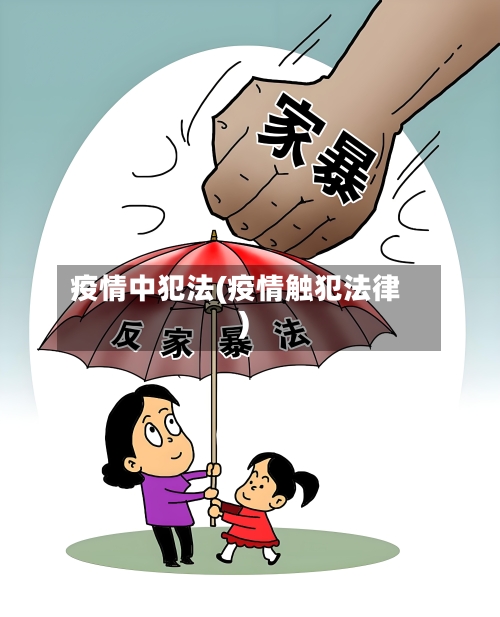 疫情中犯法(疫情触犯法律)-第3张图片