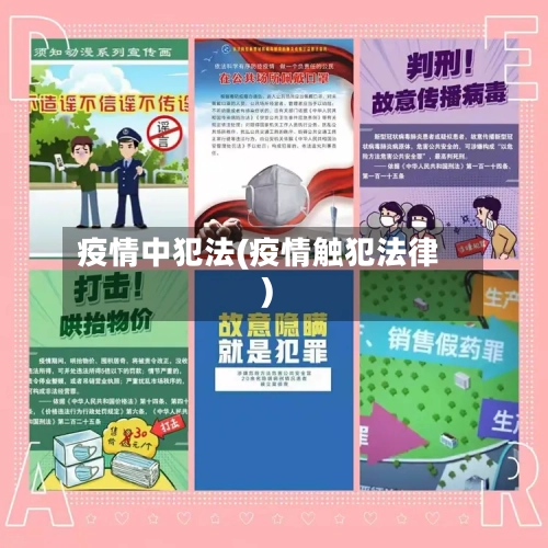 疫情中犯法(疫情触犯法律)-第2张图片