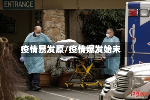 疫情暴发原/疫情爆发始末-第2张图片