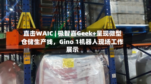 直击WAIC | 极智嘉Geek+呈现微型仓储生产线，Gino 1机器人现场工作展示-第3张图片