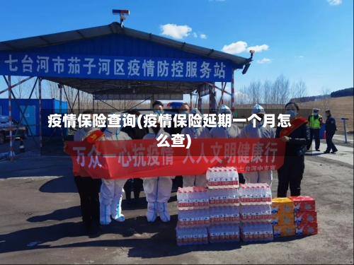 疫情保险查询(疫情保险延期一个月怎么查)