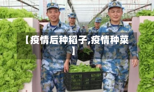【疫情后种稻子,疫情种菜】