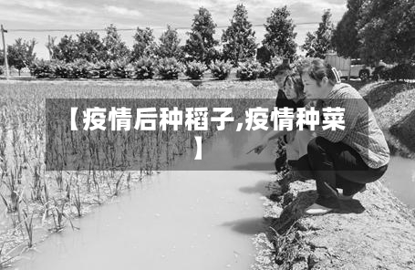 【疫情后种稻子,疫情种菜】-第2张图片