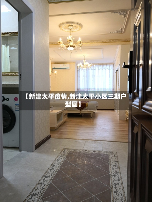 【新津太平疫情,新津太平小区三期户型图】-第2张图片