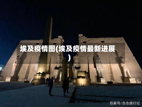 埃及疫情图(埃及疫情最新进展)-第2张图片