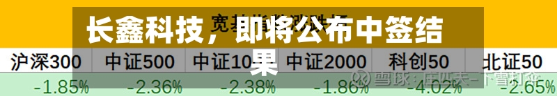 长鑫科技，即将公布中签结果