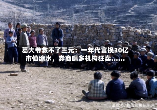 葛大爷救不了三元：一年代言换30亿市值缩水，券商唱多机构狂卖……-第3张图片
