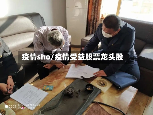 疫情sho/疫情受益股票龙头股