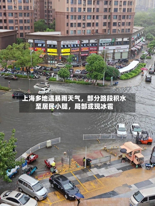 上海多地遇暴雨天气	，部分路段积水至居民小腿，局部或现冰雹-第3张图片