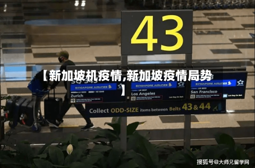 【新加坡机疫情,新加坡疫情局势】-第2张图片