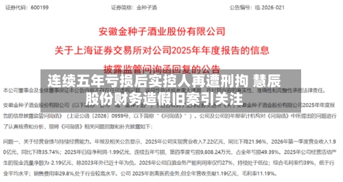 连续五年亏损后实控人再遭刑拘 慧辰股份财务造假旧案引关注-第3张图片