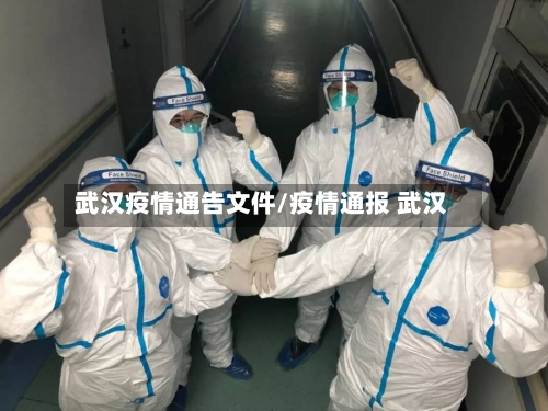 武汉疫情通告文件/疫情通报 武汉-第2张图片