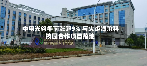 中电光谷午前涨超9% 与火炬海沧科技园合作项目落地-第2张图片