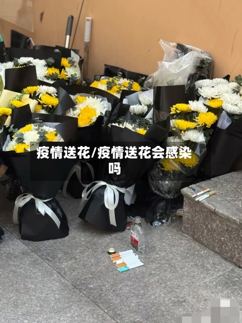 疫情送花/疫情送花会感染吗