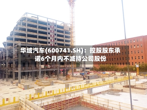 华域汽车(600741.SH)：控股股东承诺6个月内不减持公司股份