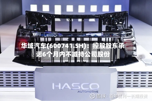 华域汽车(600741.SH):控股股东承诺6个月内不减持公司股份-第2张图片