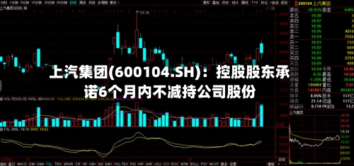 上汽集团(600104.SH)：控股股东承诺6个月内不减持公司股份
