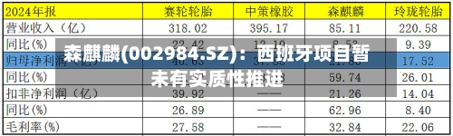 森麒麟(002984.SZ)：西班牙项目暂未有实质性推进