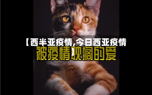 【西半亚疫情,今日西亚疫情】-第2张图片