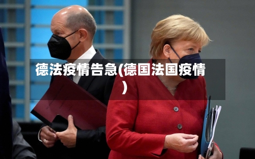 德法疫情告急(德国法国疫情)-第3张图片